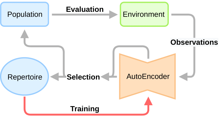High level schematic of our algorithm. It consists of two processes operating in parallel. The first one, the search process (gray arrows), generates a set of new policies, evaluates them in the environment and then stores in the repertoire the best ones. The second process, highlighted by the red arrow, is the training of the AE on the observations collected during the search and evaluation of the policies.