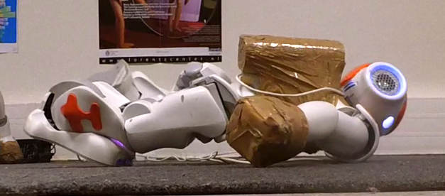 Nao learns body control from scratch, A thesis on model learning - Illustration
