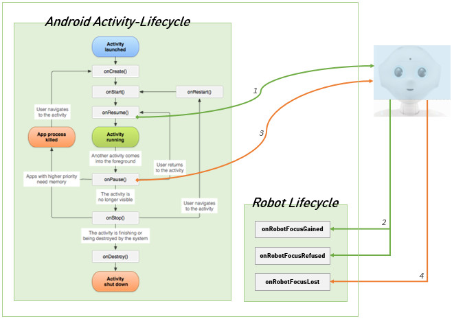 Android and Robot Lifecycle schema