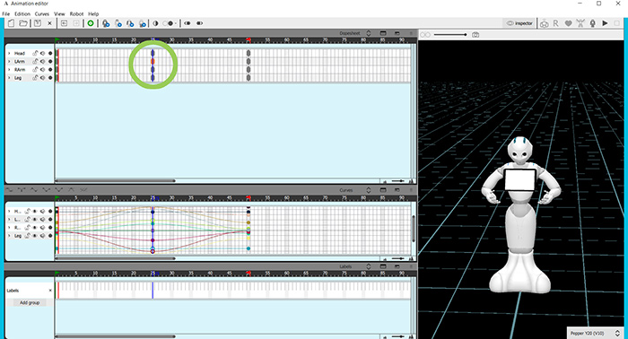 Create the symetry